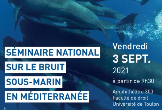Séminaire national sur le bruit sous-marin en Méditerranée