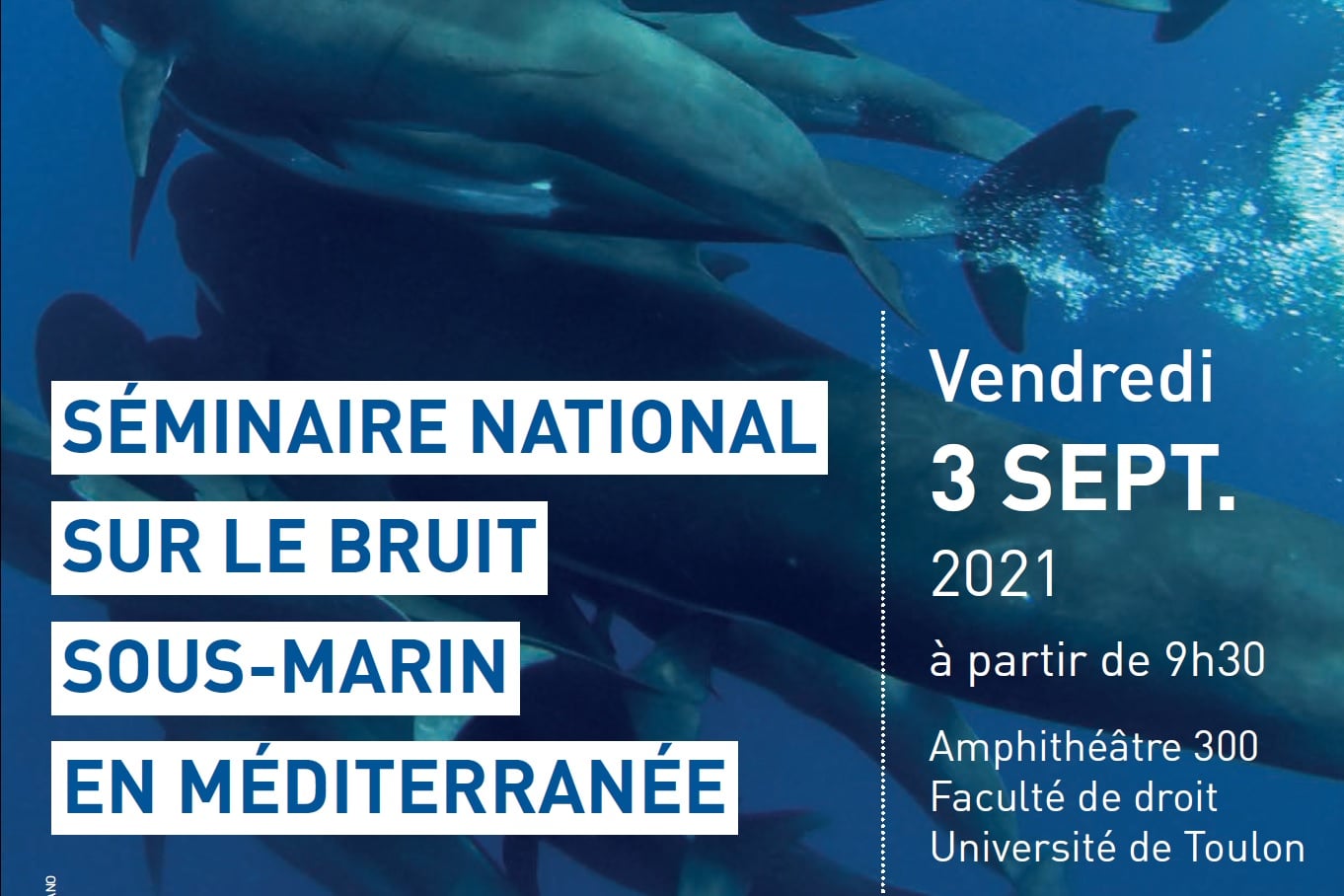 Séminaire national sur le bruit sous-marin en Méditerranée