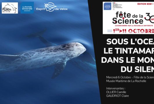 Fête de la Science 2021 EdV et pelagis diffusion de Sonic Sea