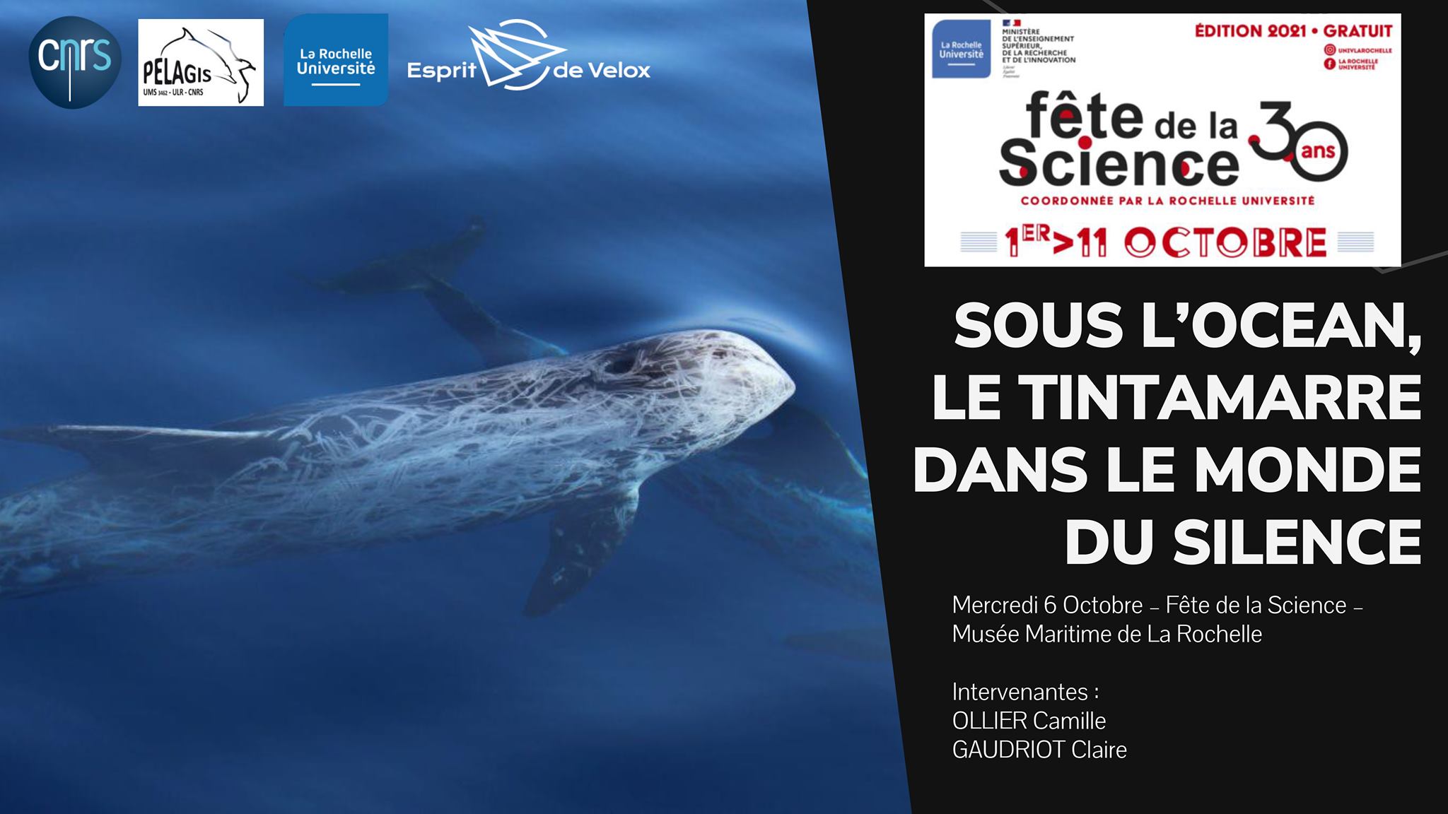 Fête de la Science 2021 EdV et pelagis diffusion de Sonic Sea