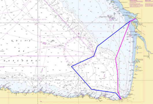 Mission d'observation de delphinidés et cétacésLa Rochelle Pasaia