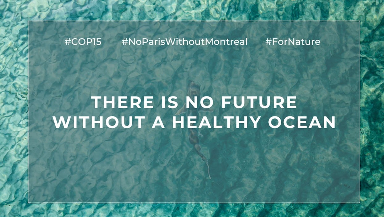 Déclaration Ocean&Climat « Pas de Paris sans Montréal »