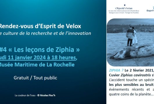 Rendez-Vous d'Esprit de Velox 4 - Les leçons de Ziphia