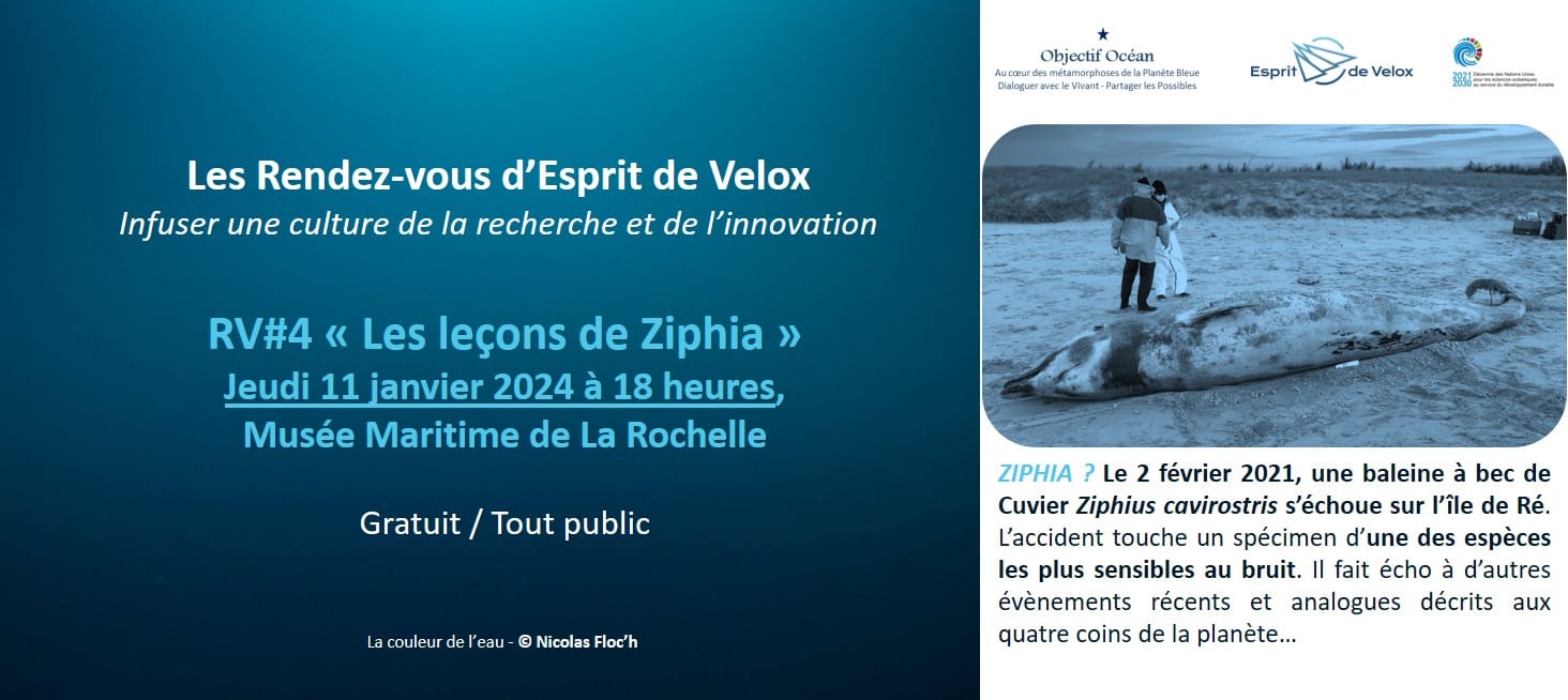 Rendez-Vous d'Esprit de Velox 4 - Les leçons de Ziphia