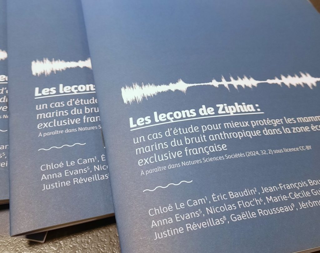 Les leçons de Ziphia - Un cas d’étude pour mieux protéger les mammifères marins du bruit anthropique dans la zone économique exclusive française