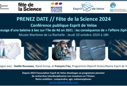 FETE DE LA SCIENCE 2024 Conférence Esprit de Velox Echouage d’une baleine à bec sur l’île de Ré en 2021 : les conséquence de « l’affaire Ziphia » Musée Maritime de La Rochelle