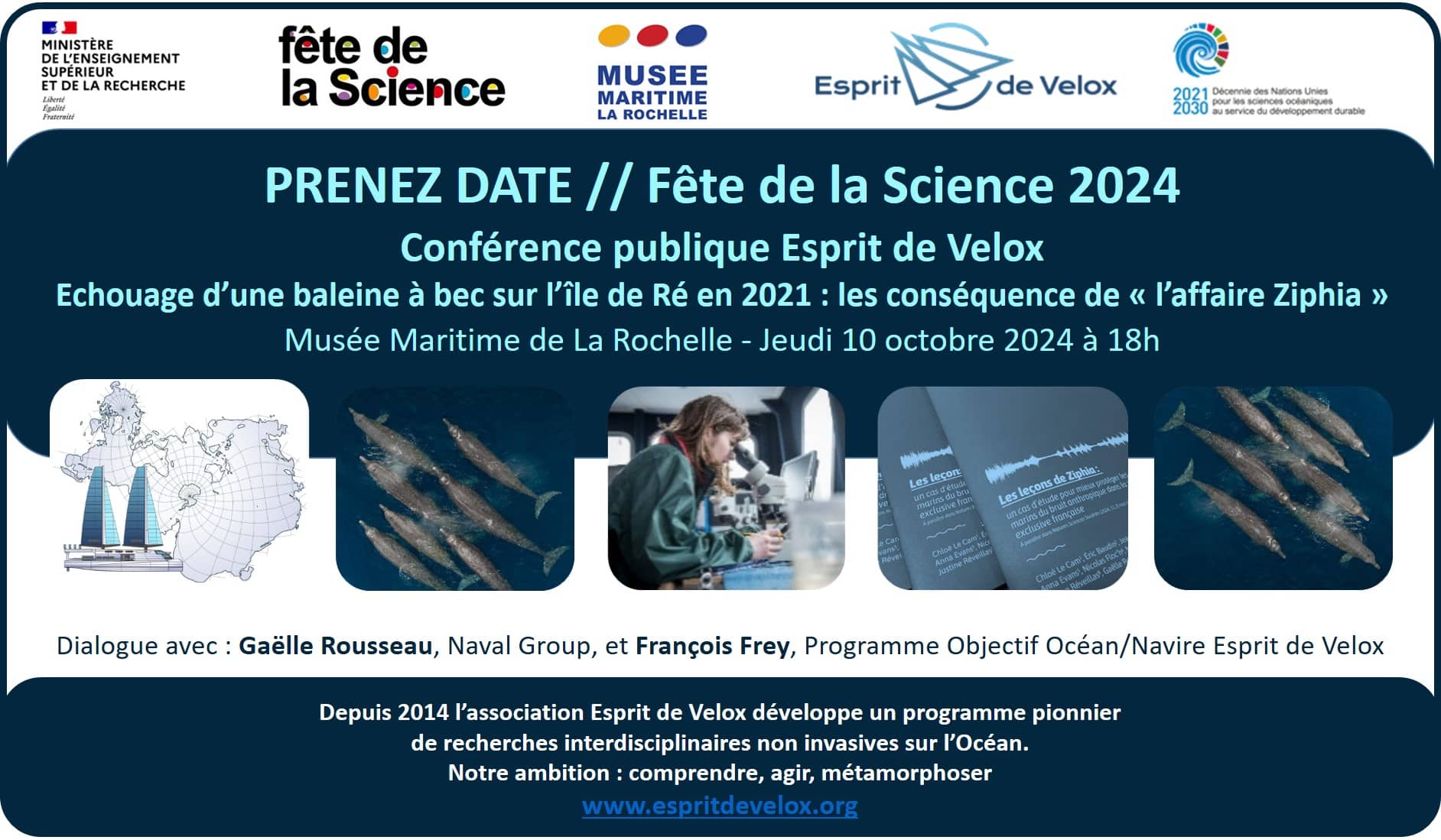 FETE DE LA SCIENCE 2024 Conférence Esprit de Velox Echouage d’une baleine à bec sur l’île de Ré en 2021 : les conséquence de « l’affaire Ziphia » Musée Maritime de La Rochelle
