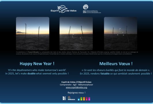 Esprit de Velox vous souhaite ses meilleurs vœux 2025 !