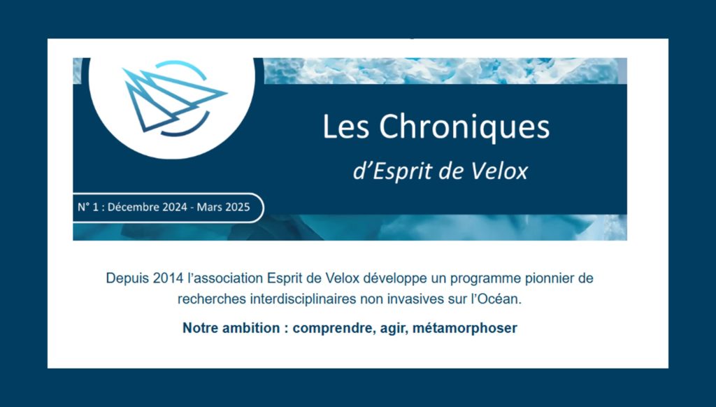 Les Chroniques d'Esprit de Velox - Lettre d'information