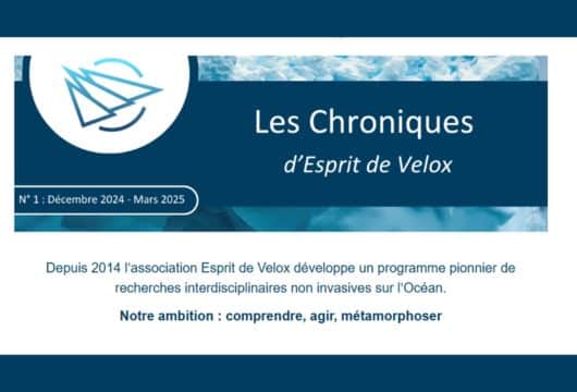 Les Chroniques d'Esprit de Velox - Lettre d'information