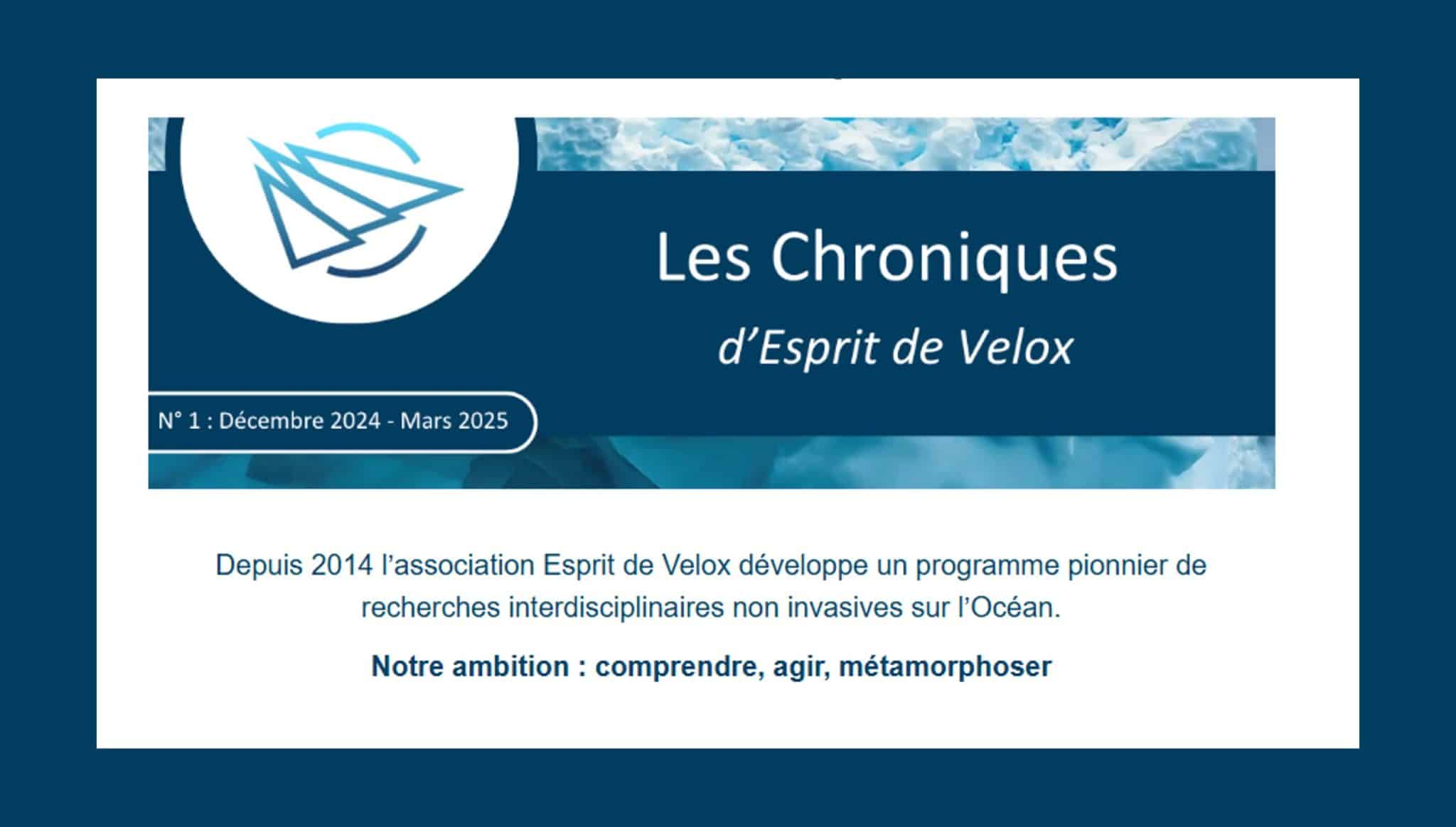 Les Chroniques d'Esprit de Velox - Lettre d'information