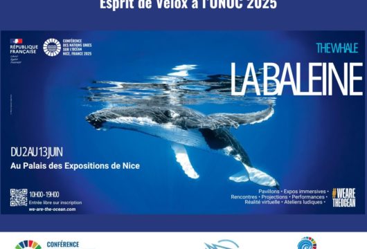 Esprit de Velox à l'UNOC 2025